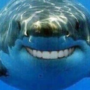 Meet your Posher, Leonard